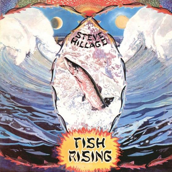 Cover artwork for Fish