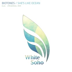 Biotones - She's Like an Ocean