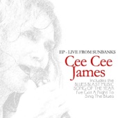 Cee Cee James - Living in the house of the blues