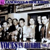 Voces en Alcohol, Vol.5, 2013