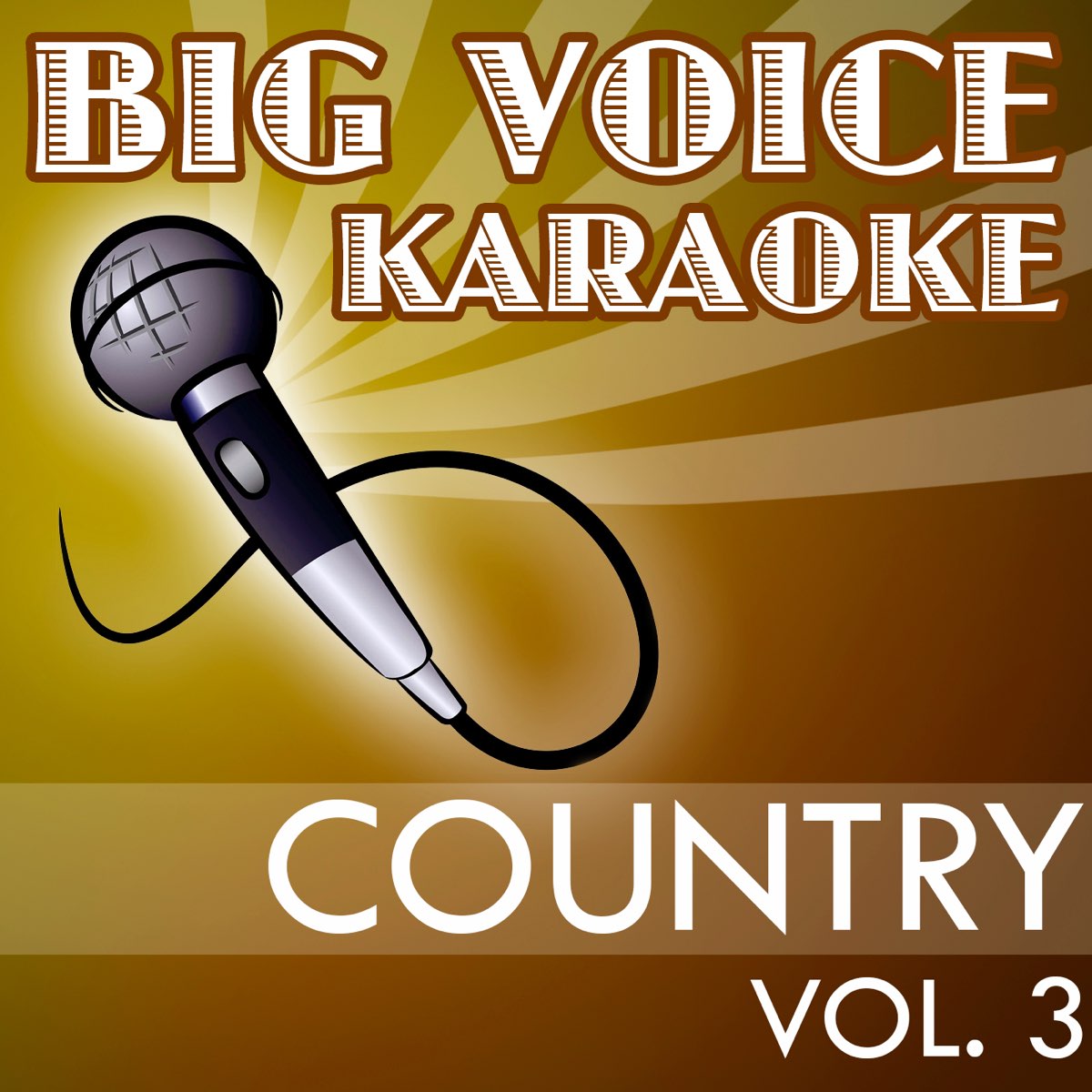 karaoke-country-hits-backing-tracks-for-singers-vol-3-by-big-voice