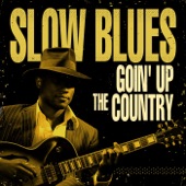 Slow Blues Goin' Up the Country artwork