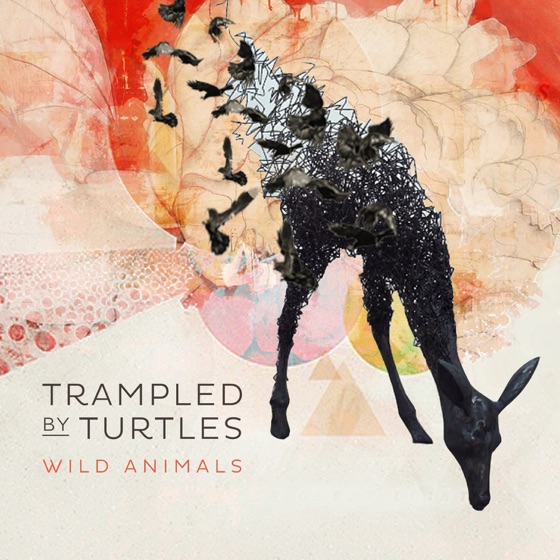Cover artwork for Wild Animals