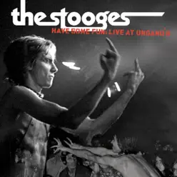 Have Some Fun (Live at Ungano's) - The Stooges