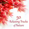 50 Relaxing Tracks of Nature – Autumn, Rain, Deep Meditation, Secret Garden, Spa Therapy, Massage, Instrumental Music, Healing Song album lyrics, reviews, download