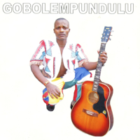 Gobolempundulu - Amawethu artwork
