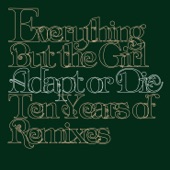 Adapt or Die - Ten Years of Remixes artwork