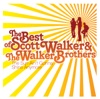 Jackie by Scott Walker iTunes Track 6