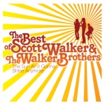 The Walker Brothers - The Sun Ain't Gonna Shine Anymore