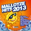 Mallotze Hits 2013