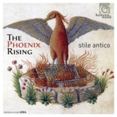 The Phoenix Rising artwork