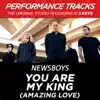 Stream & download You Are My King (Amazing Love) [Performance Tracks] - EP