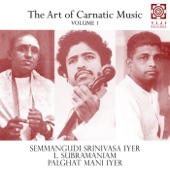 The Art of Carnatic Music, Vol. I artwork