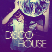 Disco House - Various Artists