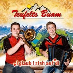 Teufelts Buam - Madlsommer
