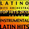 Latin Top Hits 2K13 Vol. 5 (Instrumental Karaoke Tracks) album lyrics, reviews, download