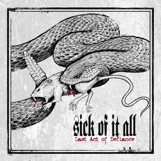 Cover artwork for DNC (Do Not Comply)