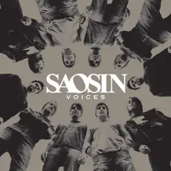 Voices - Single - Saosin