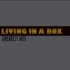 Living in a Box (Greatest Hits), 2013