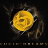 Lucid Dreams, 2013