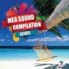 Mea Sound Compilation estate, 2015