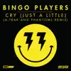 Stream & download Cry (Just A Little) [A-Trak and Phantoms Remix Edit] - Single