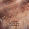 Citizen of Glass, 2016