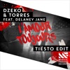 L’Amour toujours (feat. Delaney Jane) [Tiësto Edit] - Single