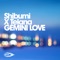 Gemini Love (Leon Lour Remix) - Shibumi X Telana lyrics