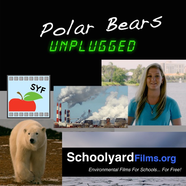 Polar Bears Unplugged cover