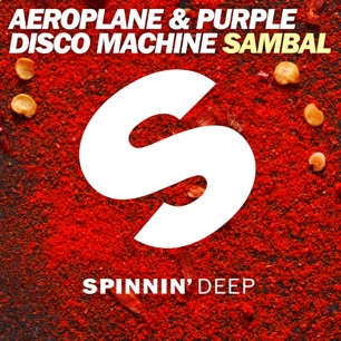 Aeroplane & Purple Disco Machine