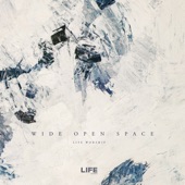 Wide Open Space (Live) artwork
