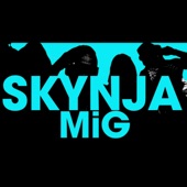 Skynja Mig artwork