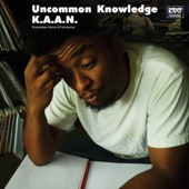Uncommon Knowledge artwork