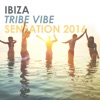 Ibiza Tribe Vibe Sensation 2016