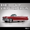 Rare Doo-Wop and Rhythm & Blues Vocal Groups, Vol. 2 artwork