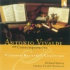 Richard Harvey - Recorder Concerto in F Major, RV 442: II. Largo e cantabile
