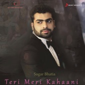 Teri Meri Kahaani artwork