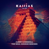 The Soul Condor (Remixes) - EP artwork