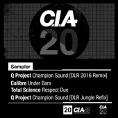 CIA 20 LP Sampler - EP artwork
