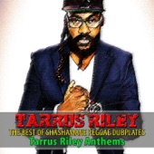 The Best of Shashamane Reggae Dubplates (Tarrus Riley Anthems) artwork