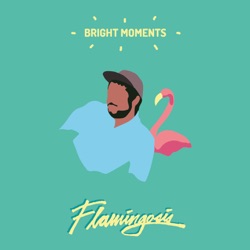 Flamingosis - Sunset Park