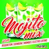 Mojito Mix 2016 (Reggaeton, Dembow, Mambo & Electro Latino), 2016