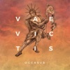Vae Victis