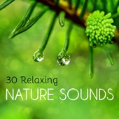 30 Relaxing Nature Sounds - Soothing Water and Earth Noises to Improve Meditation and Sleep artwork