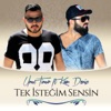 Tek Istegim Sensin (feat. Kaan Deniz) - Single