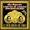 Los Cadetes de Linares - Un Viejo Amor