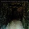 Unreal - Michael Gira lyrics