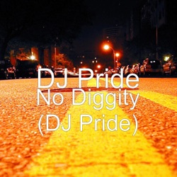 DJ Pride - No Diggity