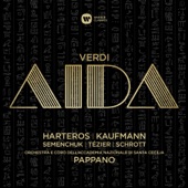 Verdi: Aida artwork